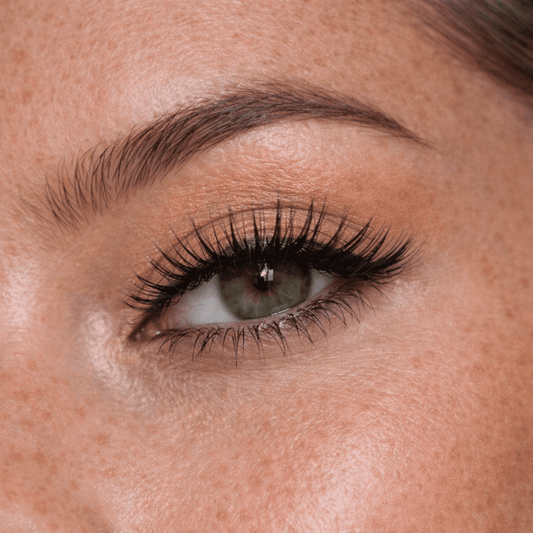 ATC IBIZA - ATC lashes