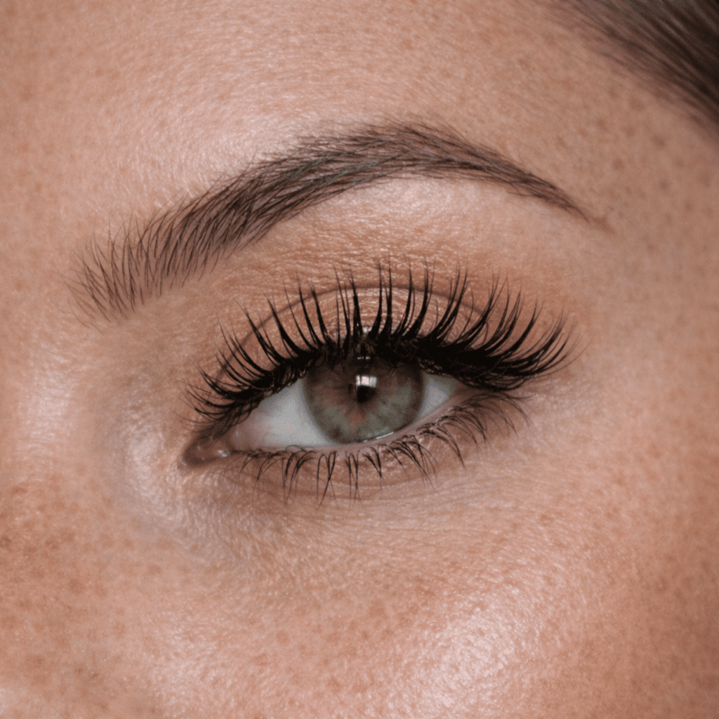 ATC TOKYO - ATC lashes