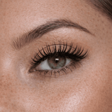 ATC TOKYO - ATC lashes