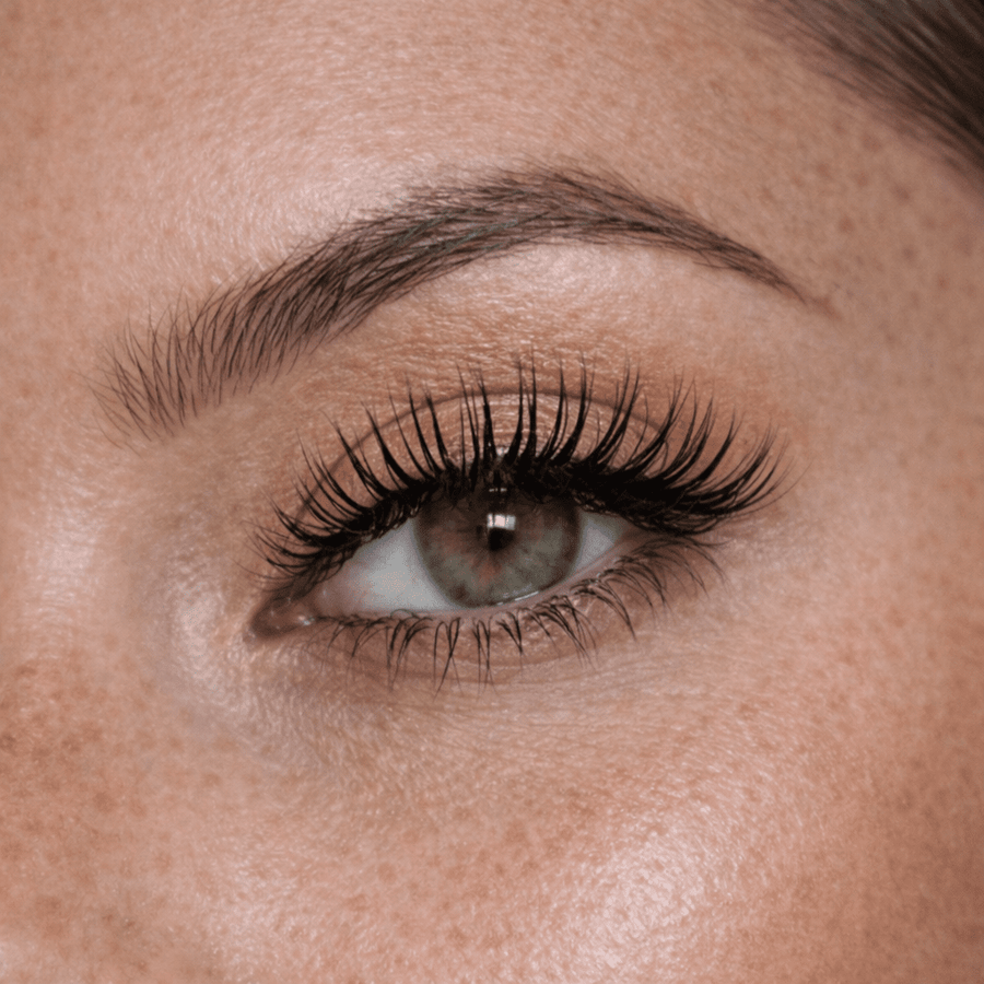 ATC TOKYO - ATC lashes